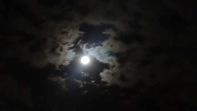 the_moon_outside_right_now_by_marinka_ko_shikara-d8o6fnc.png