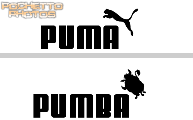 Puma Or Pumba?? by Pochetto on DeviantArt