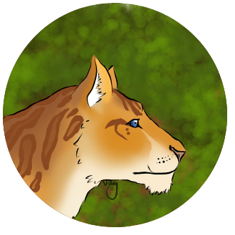 lioden_raffle_lioness_at_by_darkayeva-dba64zh.png