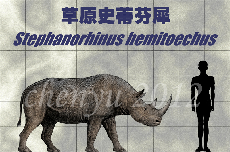 stephanorhinus_hemitoechus_by_sinammonit