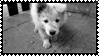 cute_dog_stamp_by_l3xil3in-d4c0mj5.gif (99×56)
