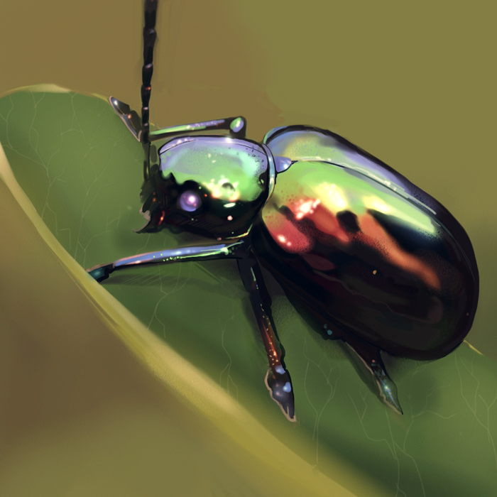 Αποτέλεσμα εικόνας για beetle painting