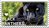 i_love_black_panthers_by_wishmasteralchemist-d2v15or.png