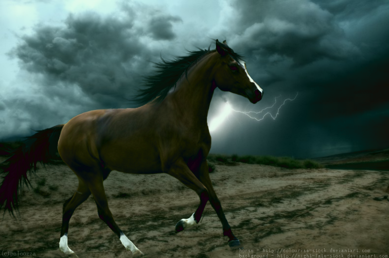 lightning_horse_by_hlpaloozza.png