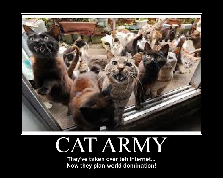 cat_army_demotivator_by_crvemaster-d7j2l4d.jpg