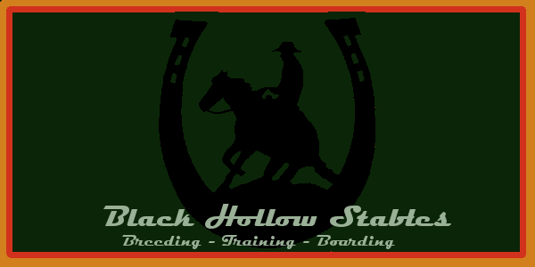 black_hollow_stable_banner_by_dragonwarl