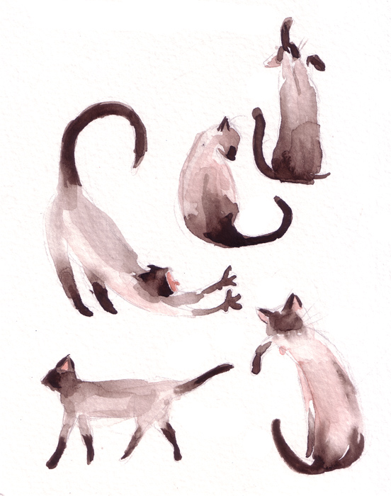 Watercolor cats by matildarose