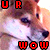 U R WOW Doge Icon