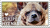 I love Striped Hyenas by WishmasterAlchemist