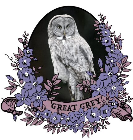 greatgrey_by_myserpentine-d9osev4.png