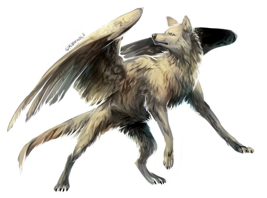 Wolf with wings by Kipine