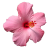 Flower icon.21