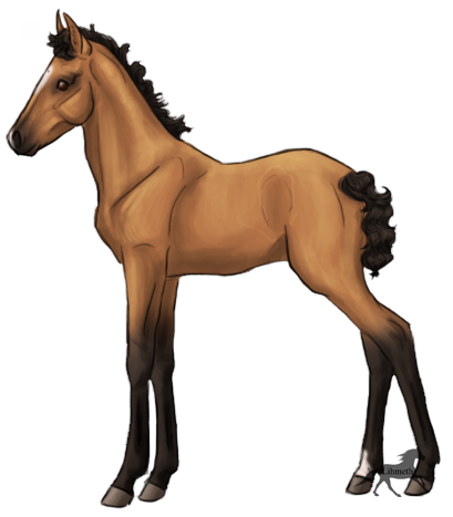 baroque_foal_by_lilianvh-d9af592.png