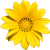 Flower icon.8
