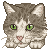 Cat by DPA-avatars