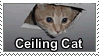 A stamp with a cat sticking its face out of a missing ceiling tile pictured on it. The text underneath it says 'Ceiling cat.'